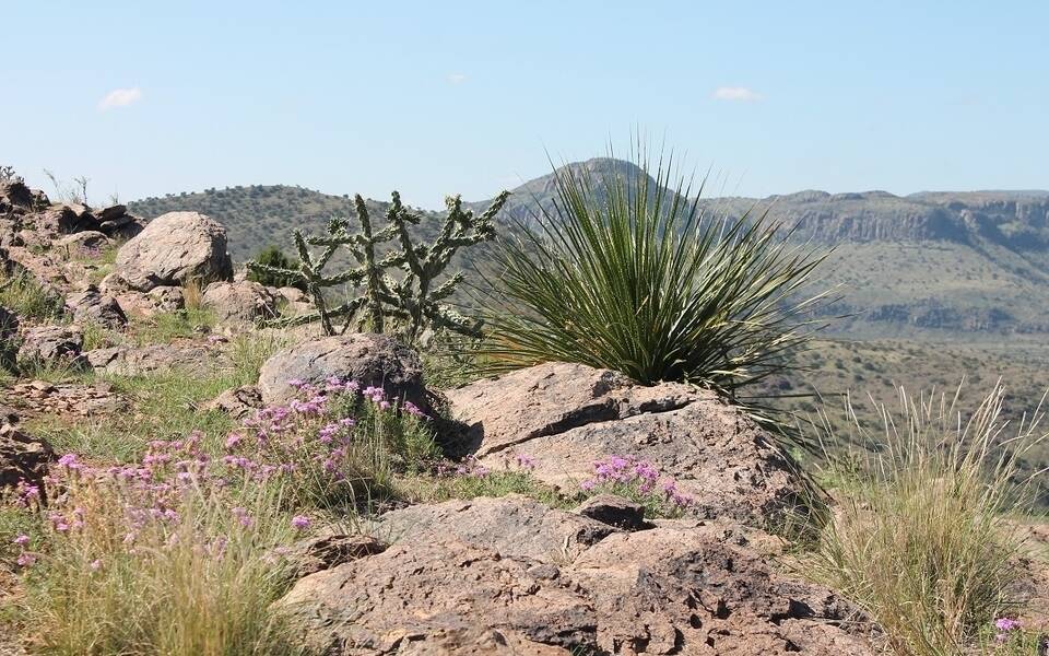 Chihuahuan Desert Nature Center Fort Davis, West Texas