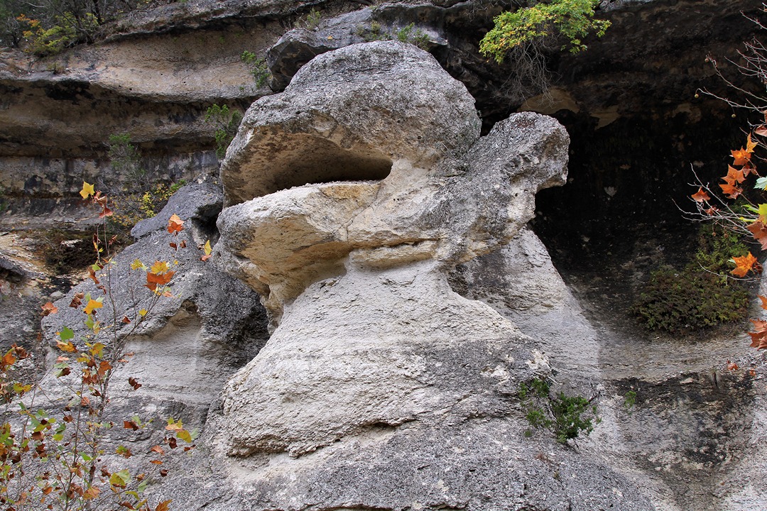 Monkey Rock at Lost Maples State Natural Area