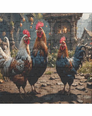 Three colorful roosters in rustic courtyard