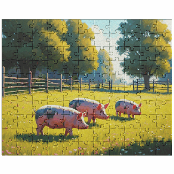 free range pigs feed in a farm field